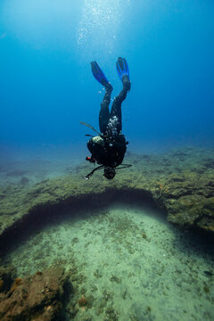 Young man diving upside down over ocean floor in sea