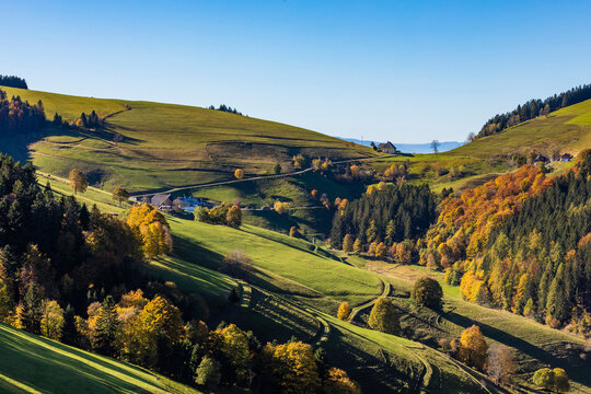 Germany, Baden-Wurttemberg, Wieden, Rural landscape of Black Forest in autumn