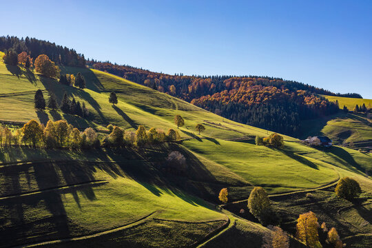 Germany, Baden-Wurttemberg, Wieden, Rural landscape of Black Forest in autumn