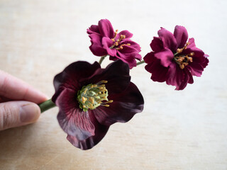 Close-up of faux flowers