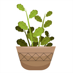 clay pot with a flower with small embossed green leaves