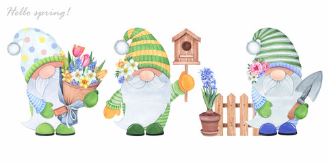 Cartoon garden gnomes with a shovel, spring flowers and a birdhouse on a white background. Watercolor illustration.