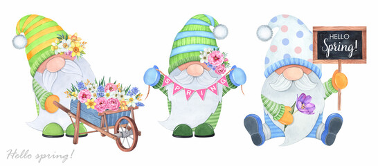 Watercolor illustration. Garden gnomes with spring flowers and a wheelbarrow on a white background.