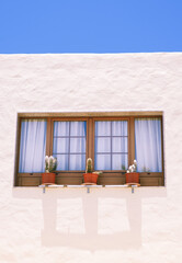 Traditional architecture. Minimal floral botanical aesthetic wallpaper. Cactus plant. Travel in details. Canary island