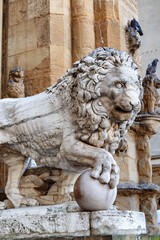Fototapeta na wymiar Medici Lion in the Loggia dei Lanzi, Florence, Tuscany, Italy