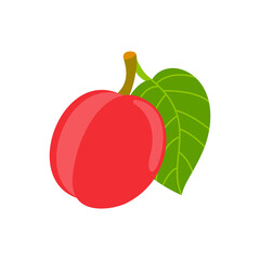 Nectarines isolated on a white background with green leaves, flat design, fruit vector illustration