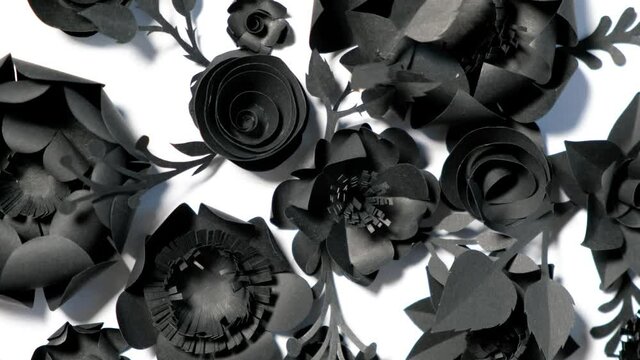 Black paper flowers on a white background are spinning in a circle. counterclockwise rotation. High quality 4k footage