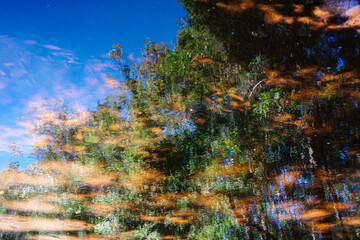 Abstract scene of tree and sky reflecting on water surface.