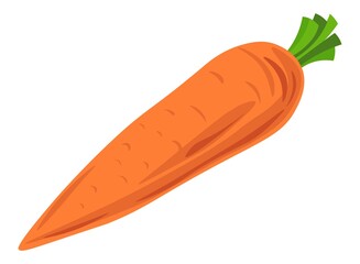 Fresh ripe carrot with leaf, vegetable market