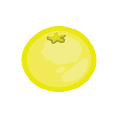 On a white background, an orange vector illustration