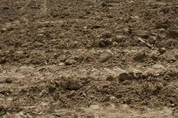 soil in the ground texture