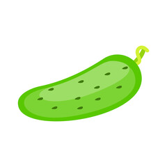 Isolated on a white background, fresh cucumber vegetables. Flat style vector illustration