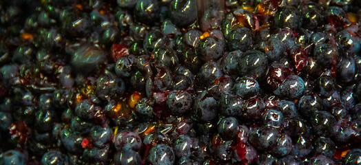 Maische Weintrauben Most  Beerenschalen