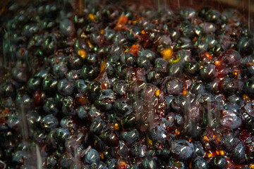 Maische Weintrauben Most  Beerenschalen