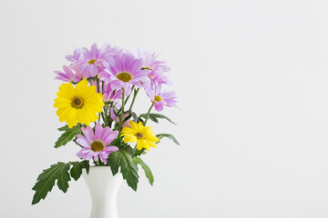 chrysanthemums flowers in ceramic vase on white background