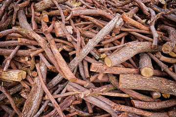 Brushwood and branches textured background.