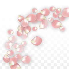 Pink Vector Realistic Petals Falling on Transparent Background.  Spring Romantic Flowers Illustration. Flying Petals. Sakura Spa Design. Blossom Confetti. Design Elements for Wedding Decoration.