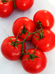 Branch of fresh tomatoes