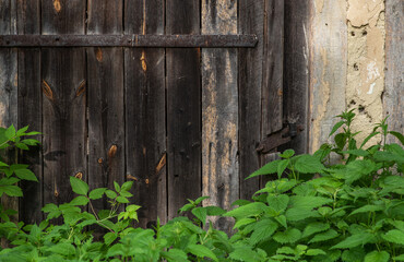 Part old weathered wooden barn door with steel hinges. Distressed wood barn door panels.