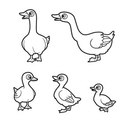 Big and small cartoon geese and goslings outlined for coloring book on white background