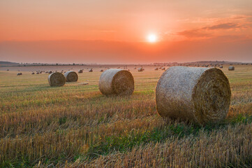 Sunset over a field with rolls of mown straw
