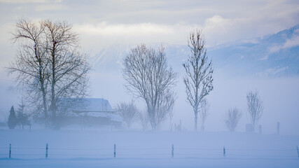 mystical landscape at a foggy and cold winter morning with view of a agriculture field with barn and trees