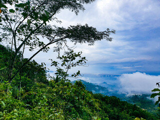 Blue sky and cloud on the village. Pastel style sky and clouds.Freshness of the new day. Trees and hill right blue background.