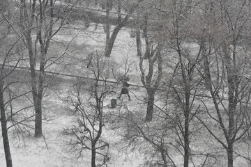 person walking on a pathway of a park road covered in snow with bare trees and branches around. Winter snowfall day in Moscow, Russia 