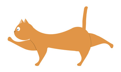 Funny cat does stretching after lying down for a long time.