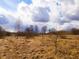 Spring in Belarus. Dry yellow grass, blue sky, sunny day.