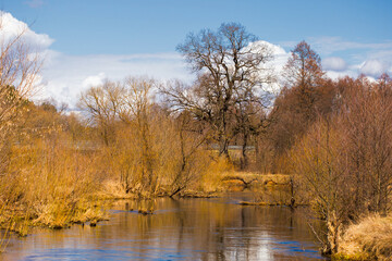 Spring in Belarus. Dry yellow grass, blue sky reflecting in the river. Warm pleasant april sunny day country side photo