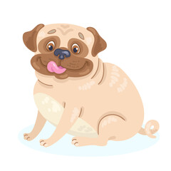 Funny pug dog sits. In cartoon style. Isolated on white background. Vector flat illustration.