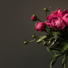 Pink peony flowers bouquet on black background. Minimalist elegant aesthetic floral composition - obrazy, fototapety, plakaty