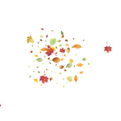 Leaves Falling Autumn Foliage Chaotic Leaf Flying