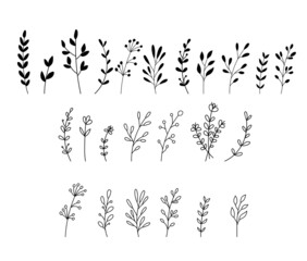 Wildflowers and flowers collection drawing line art vector. Set of Isolated simple plants and leaves in outline style on white background
