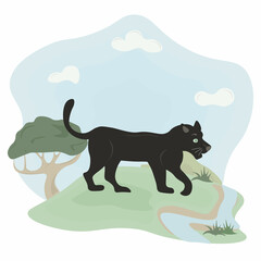 illustration of a panther