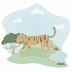 Fototapeta na wymiar tiger in the forest