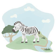 zebra with green grass