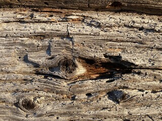 old wood texture