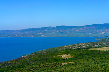 Fototapeta na wymiar Rural landscape of Gargano, Apulia, Italy, in June