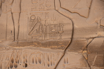 Ancient egyptian hieroglyphs carved on the stone wall in the Karnak Temple, Luxor, Egypt