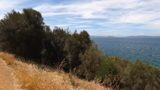 beautiful scenary of the Pacific Ocean and thick native vegetation shot from a vantage point during a hike in Southern Tasmania