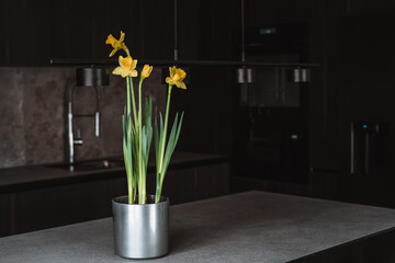Dark grey kitchen design - detail of interior. Spring flower daffodil, narcissus on island or table countertop in modern kitchen room.