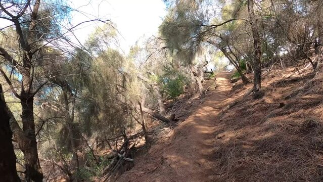 beautiful hike with thick native vegetation shot and beach view at the end shot in Southern Tasmania