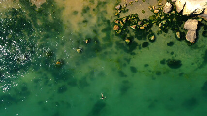 Aerial view of a girl swimming in sea with Algae green water by the rocky beach. Coast of sea in summer. Top view. Landscape with clear azure water, stones and rocks. Nature background