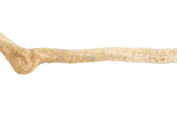 Part of driftwood isolated on white