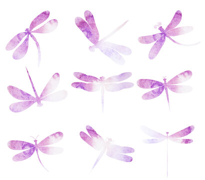 dragonfly watercolor set silhouette,on white background,vector,isolated