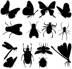 Fototapeta premium collection of insects set silhouette, on white background, vector, isolated