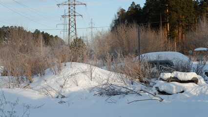 snow covered trees