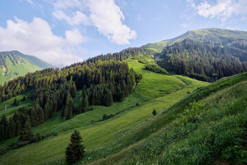 Fototapeta premium Beautiful summer mountains landscape. Green Alps view.